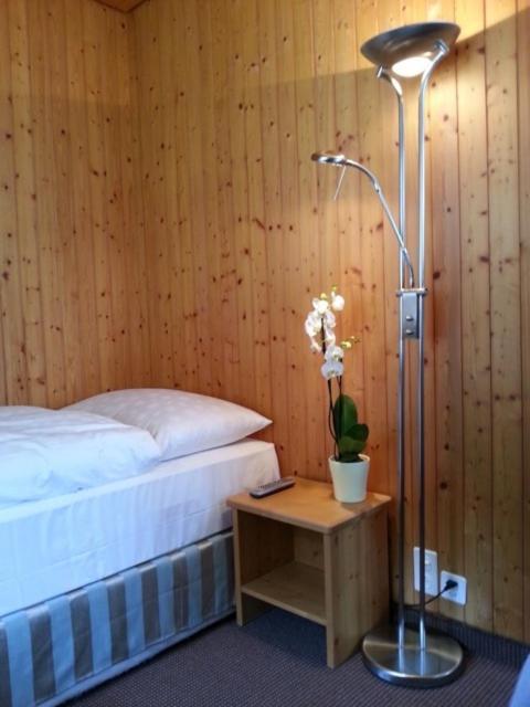 Sonnegg Hotel ツヴァイジンメン エクステリア 写真