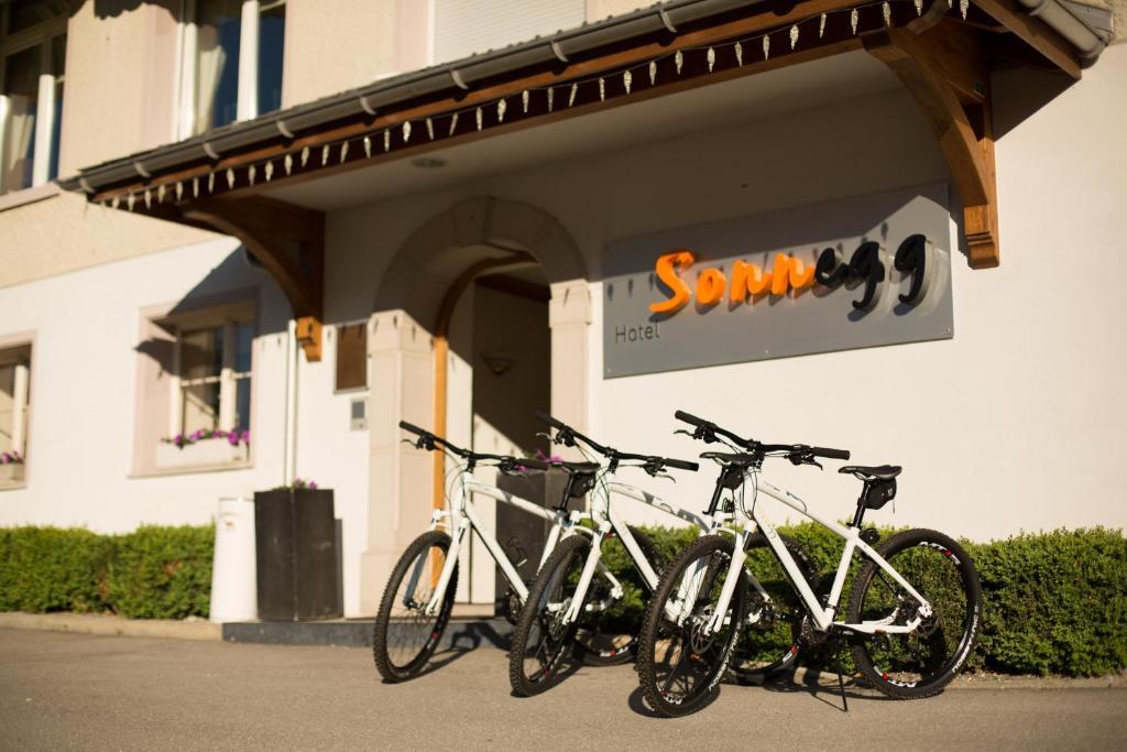 Sonnegg Hotel ツヴァイジンメン エクステリア 写真