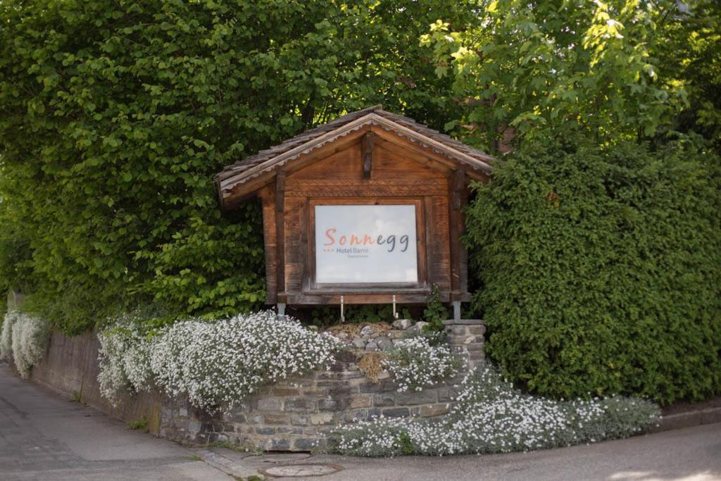 Sonnegg Hotel ツヴァイジンメン エクステリア 写真